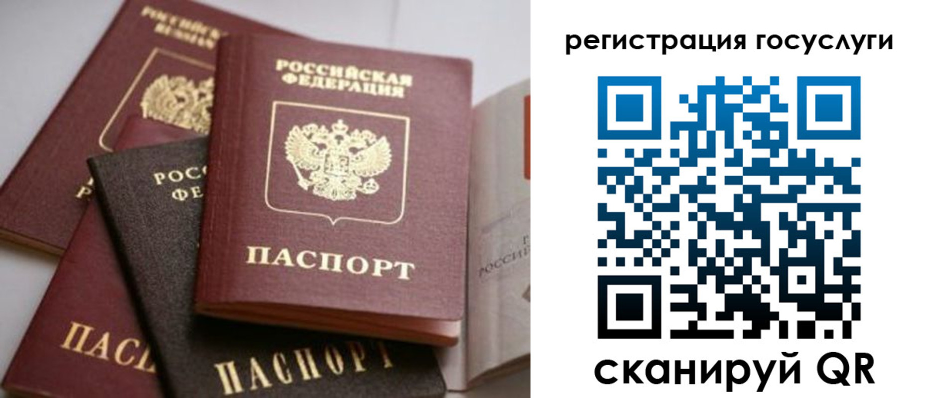 пропишу в квартире в Чудово